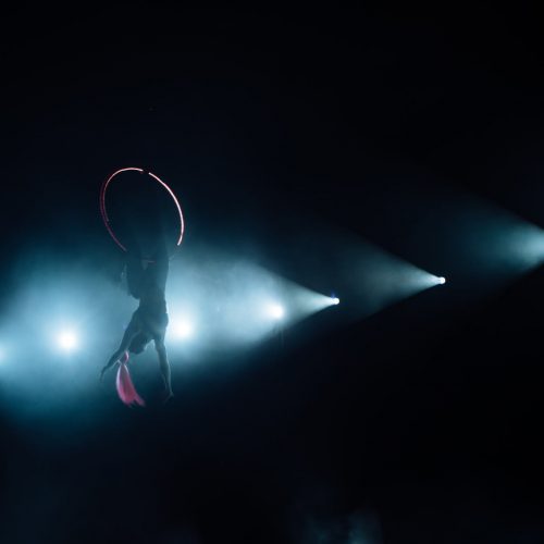 Pyroterra mega fire show