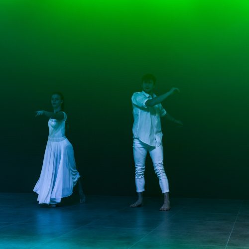 Pyroterra interactive dance multimedia show