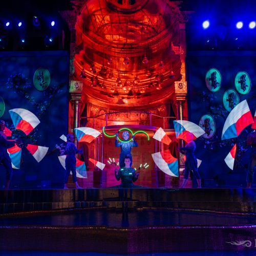 Pyroterra_AMBANI-wedding_-4