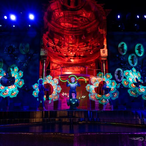 Pyroterra_AMBANI-wedding_-5